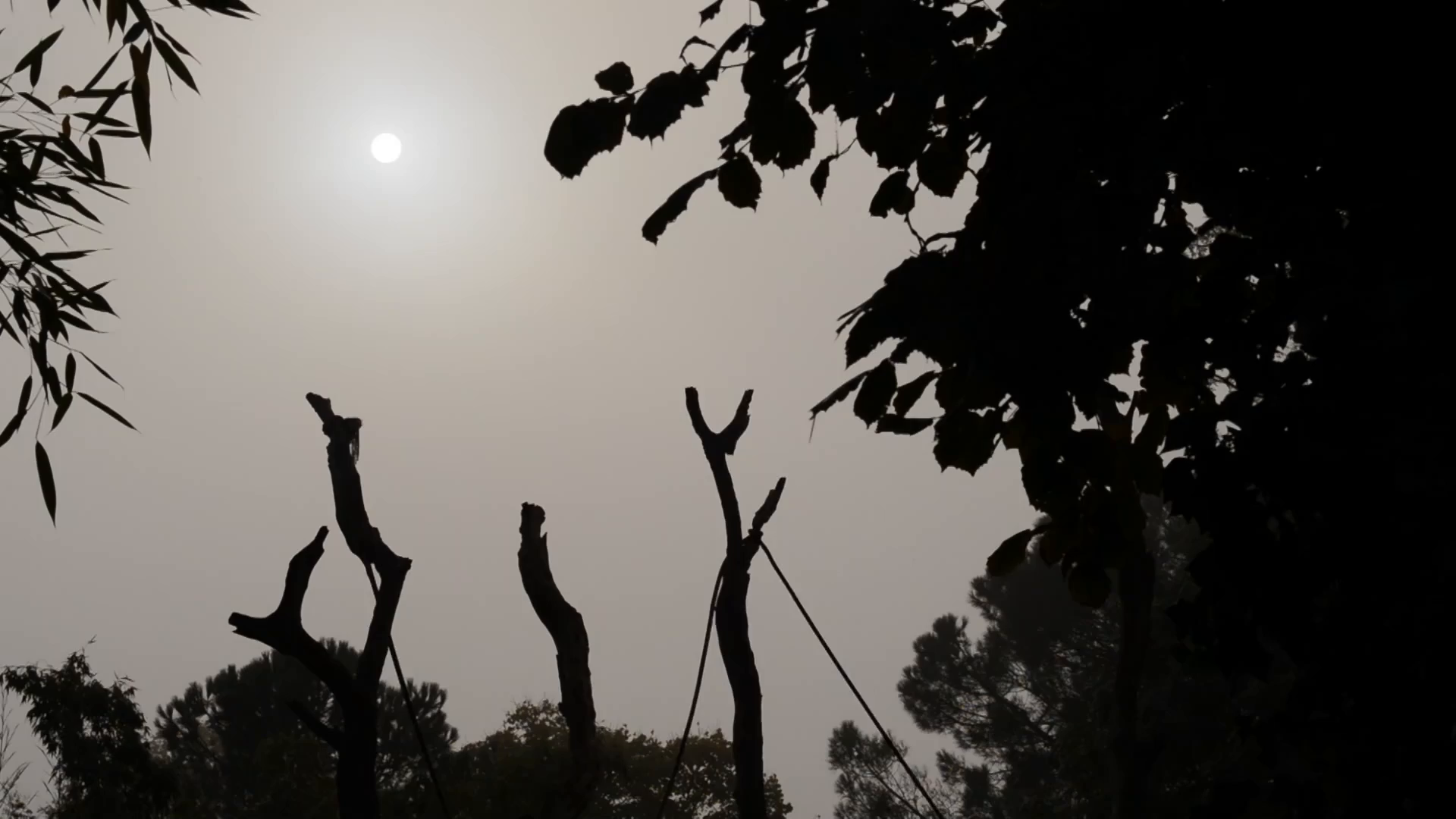 Zoo : Le défi de demain