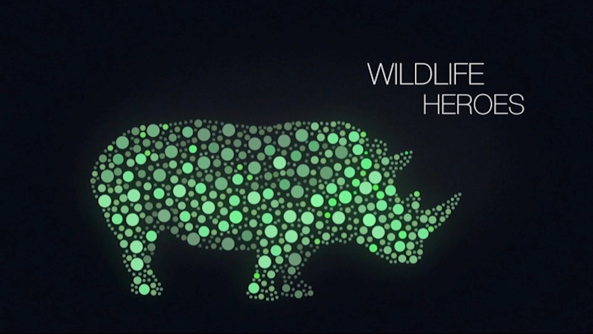Wildlife Heroes