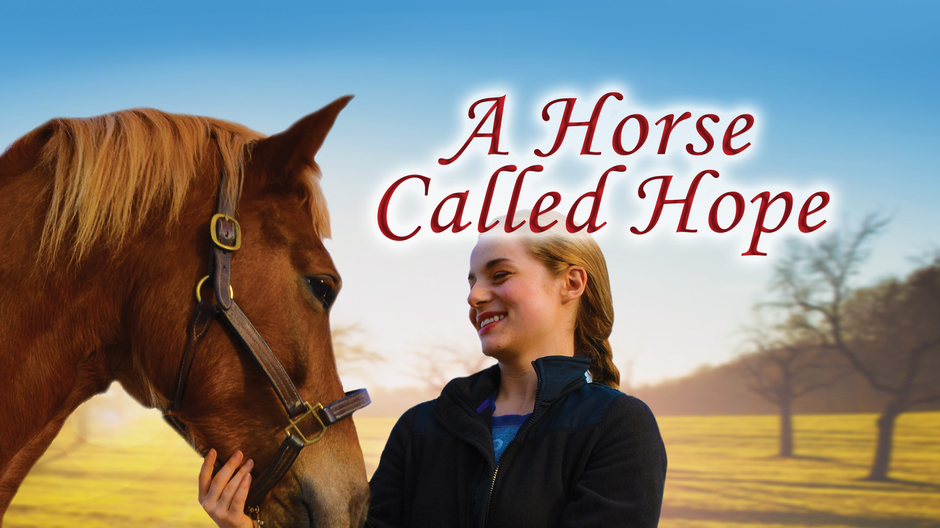 A Horse Called Hope