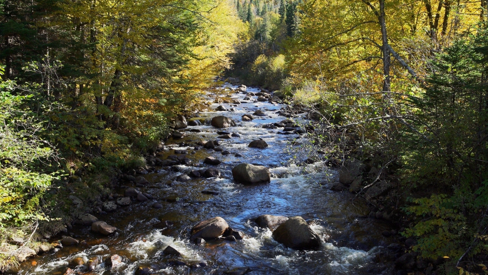 Soothing Stream: Quebec