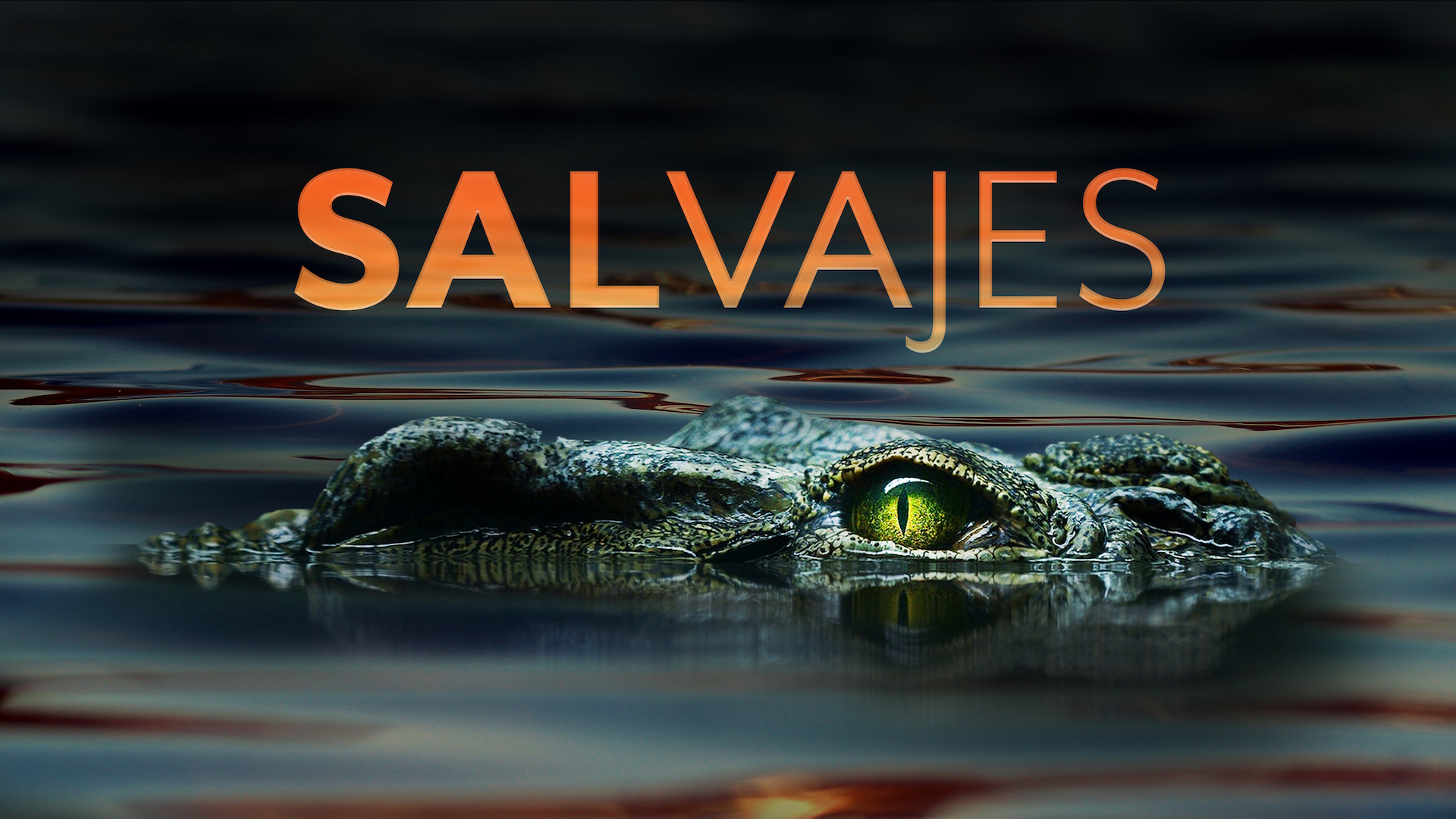 Salvajes