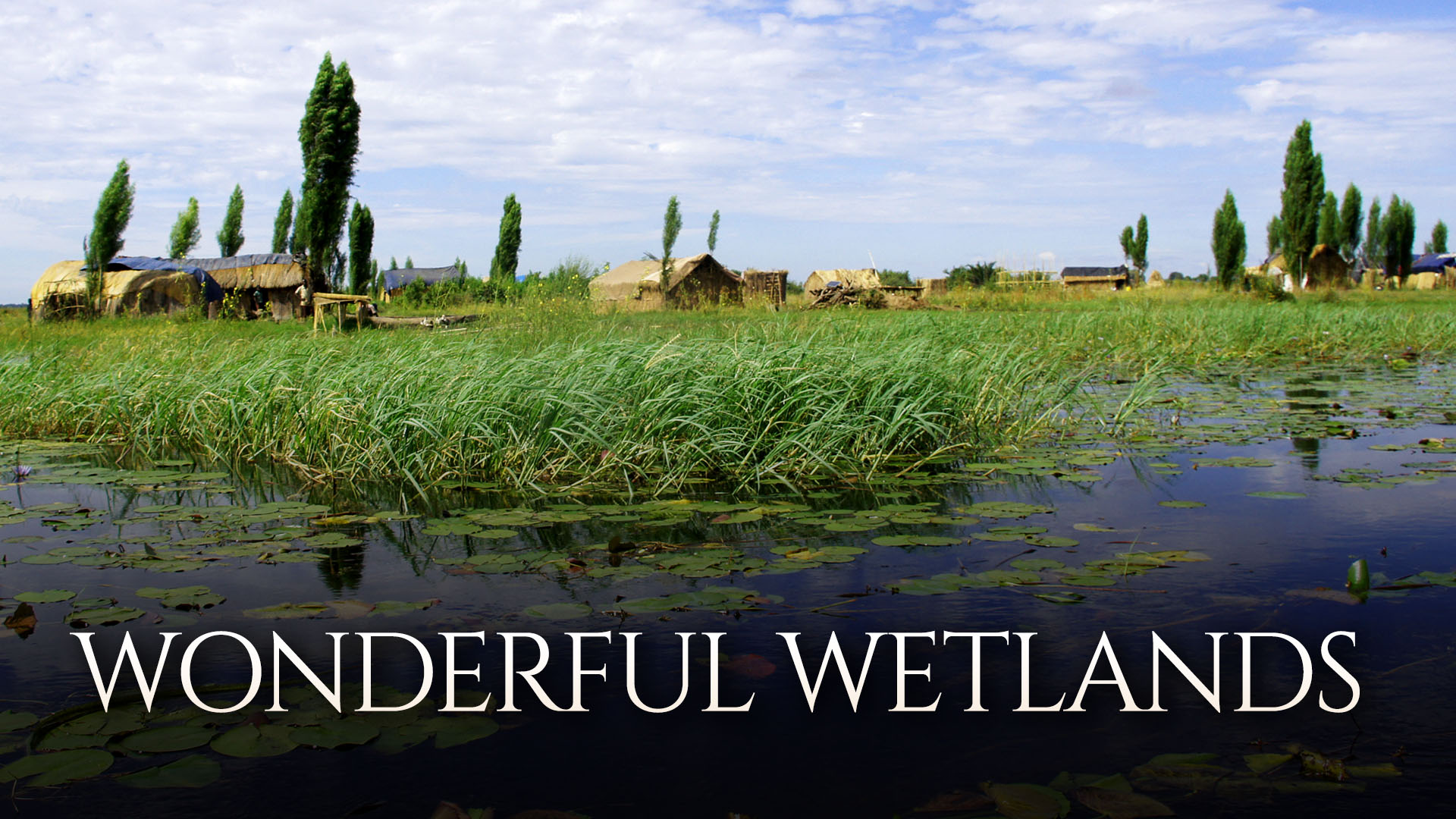 Wonderful Wetlands