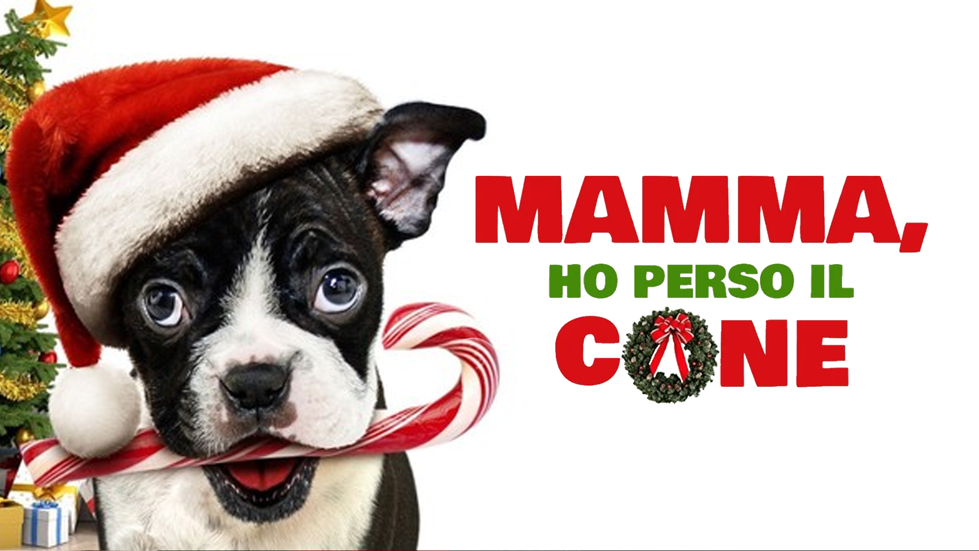 Mamma ho perso il cane
