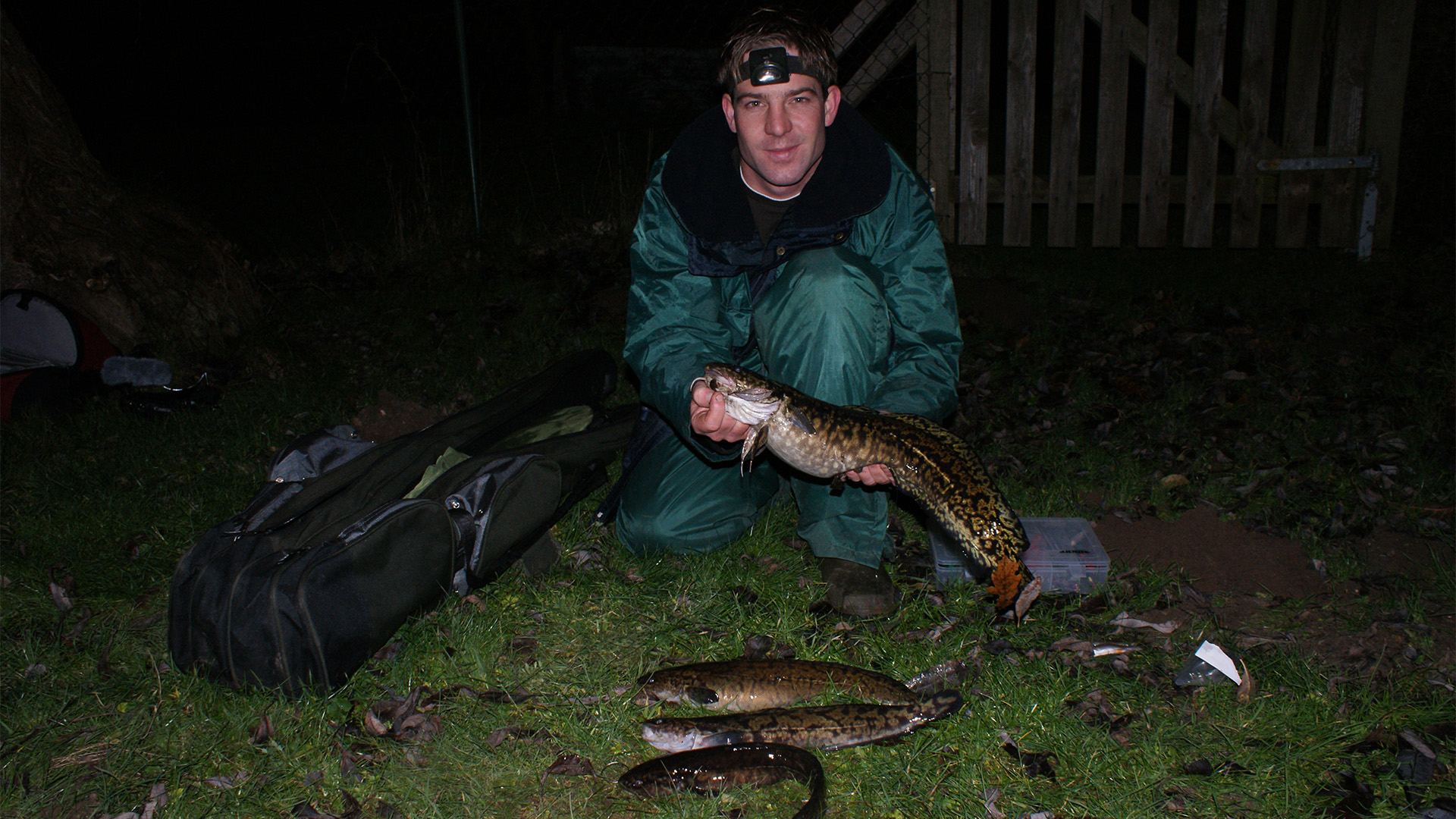 Quappenangeln an der Aller mit der Stellfischrute