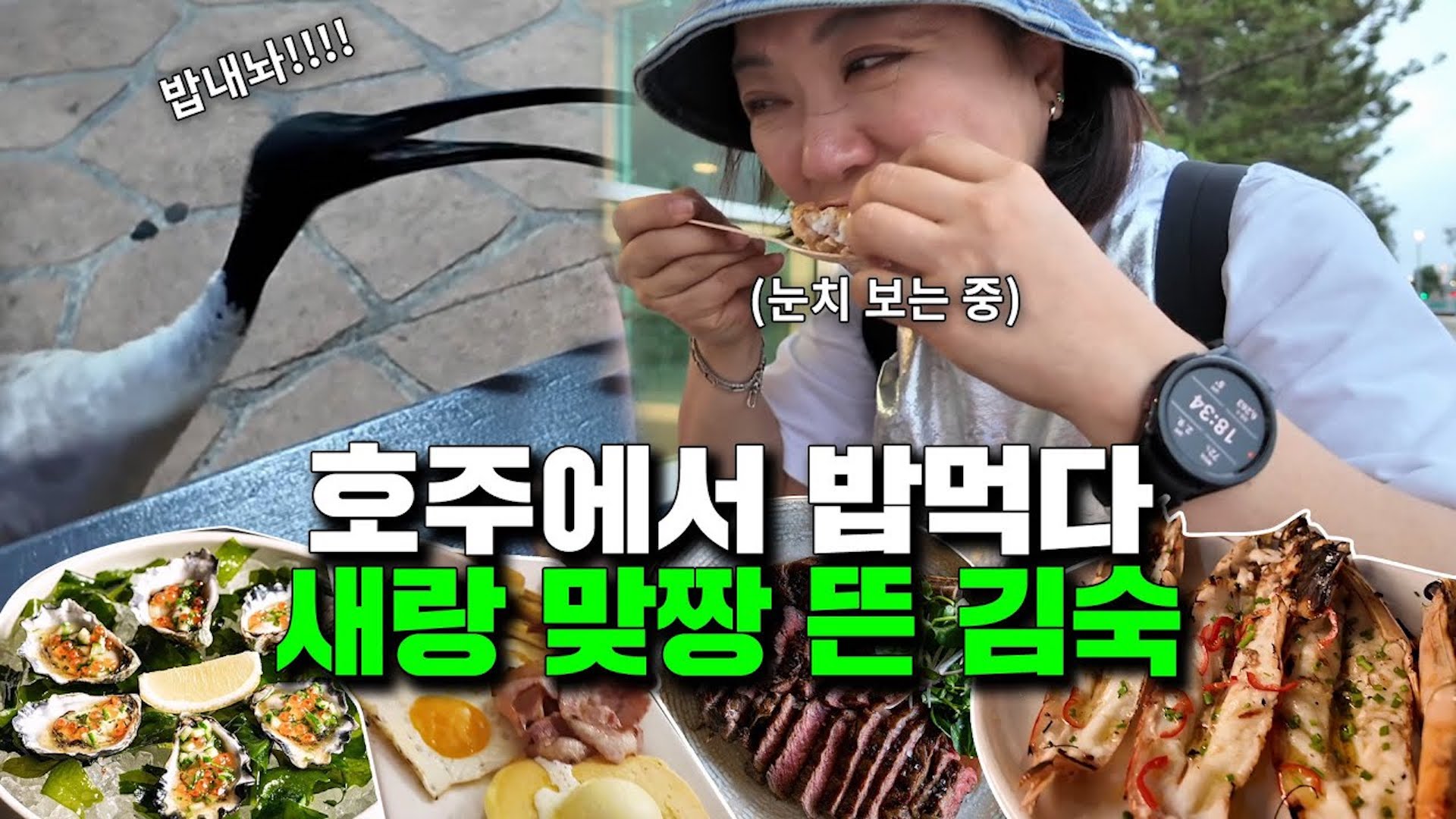 벨트풀고 시작하자(ft.대구즈)♥♥이건 꼭 먹어야해!!! 숙이의 호주여행