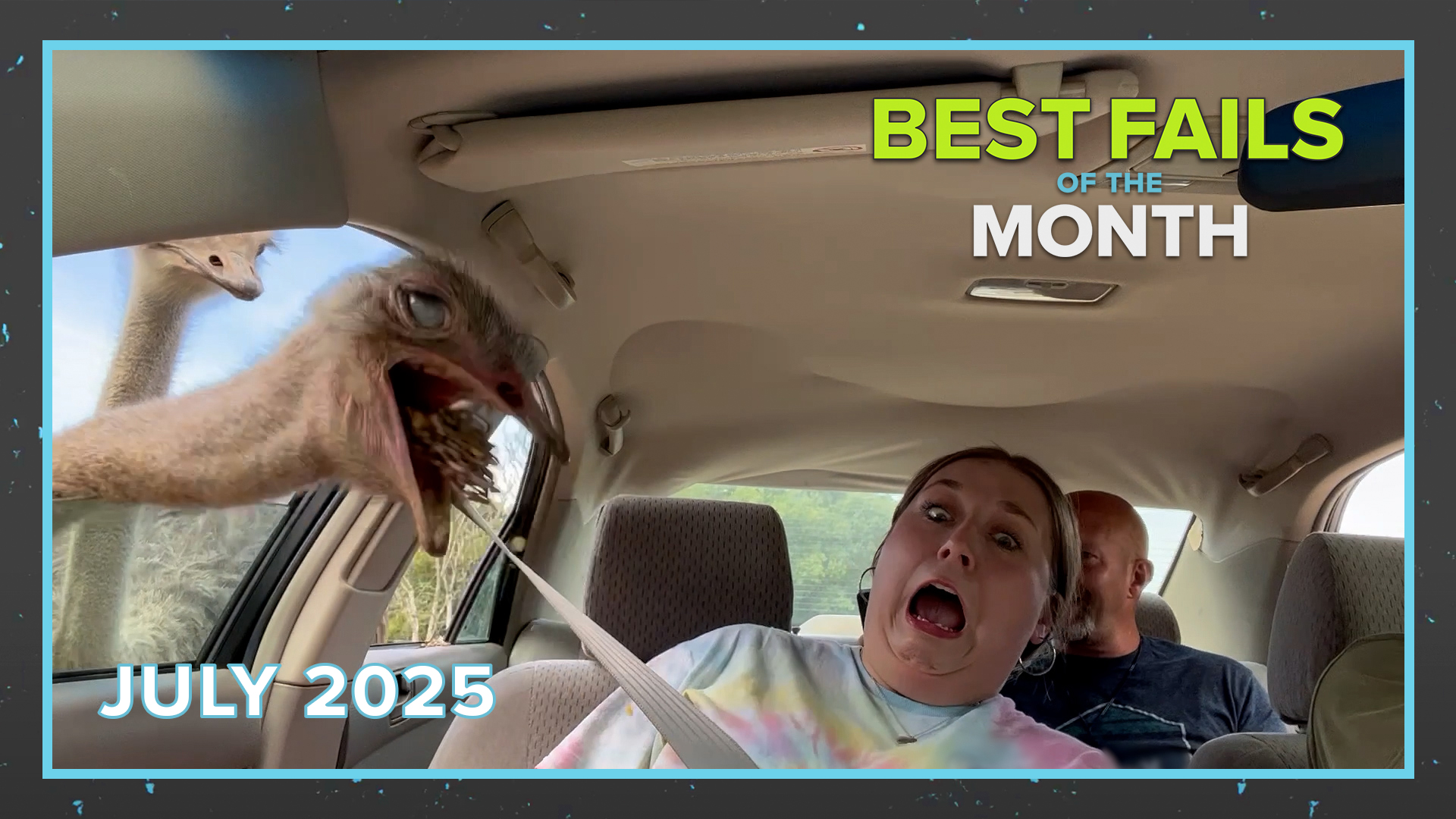 Best Fails of the Month