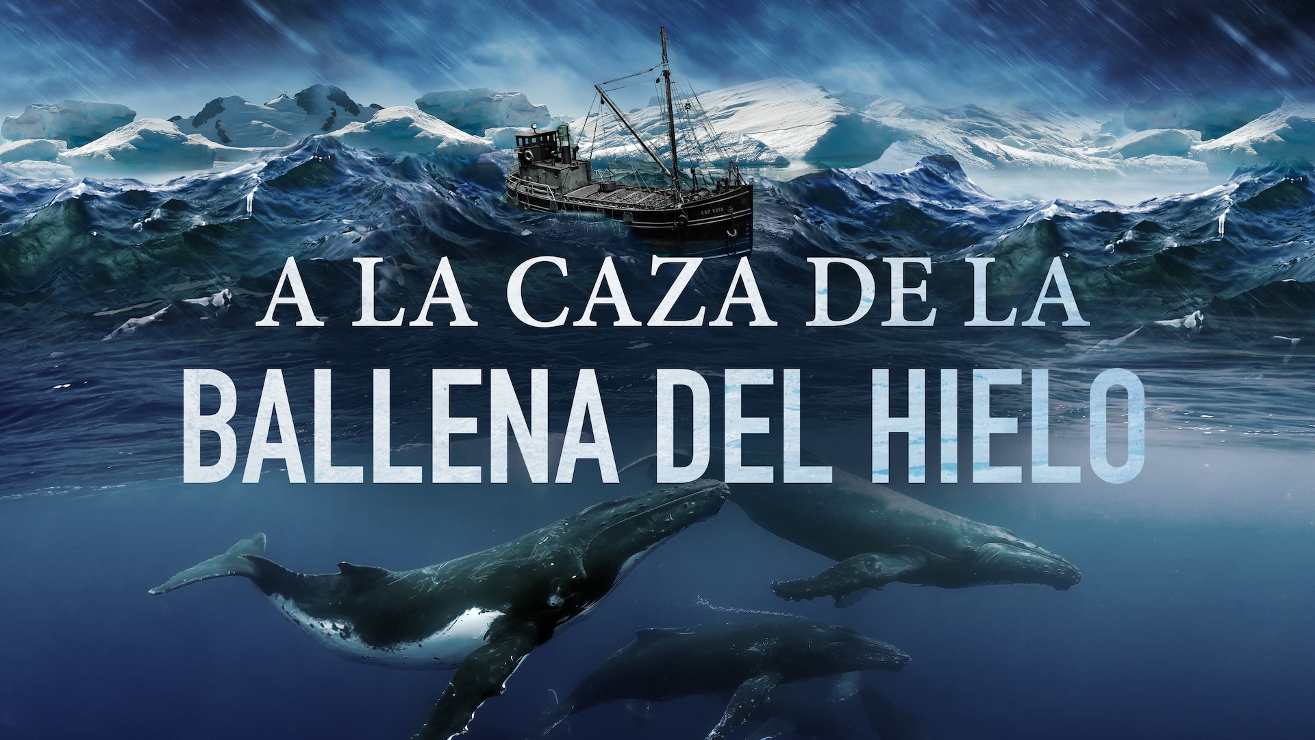 A la caza de la ballena del hielo