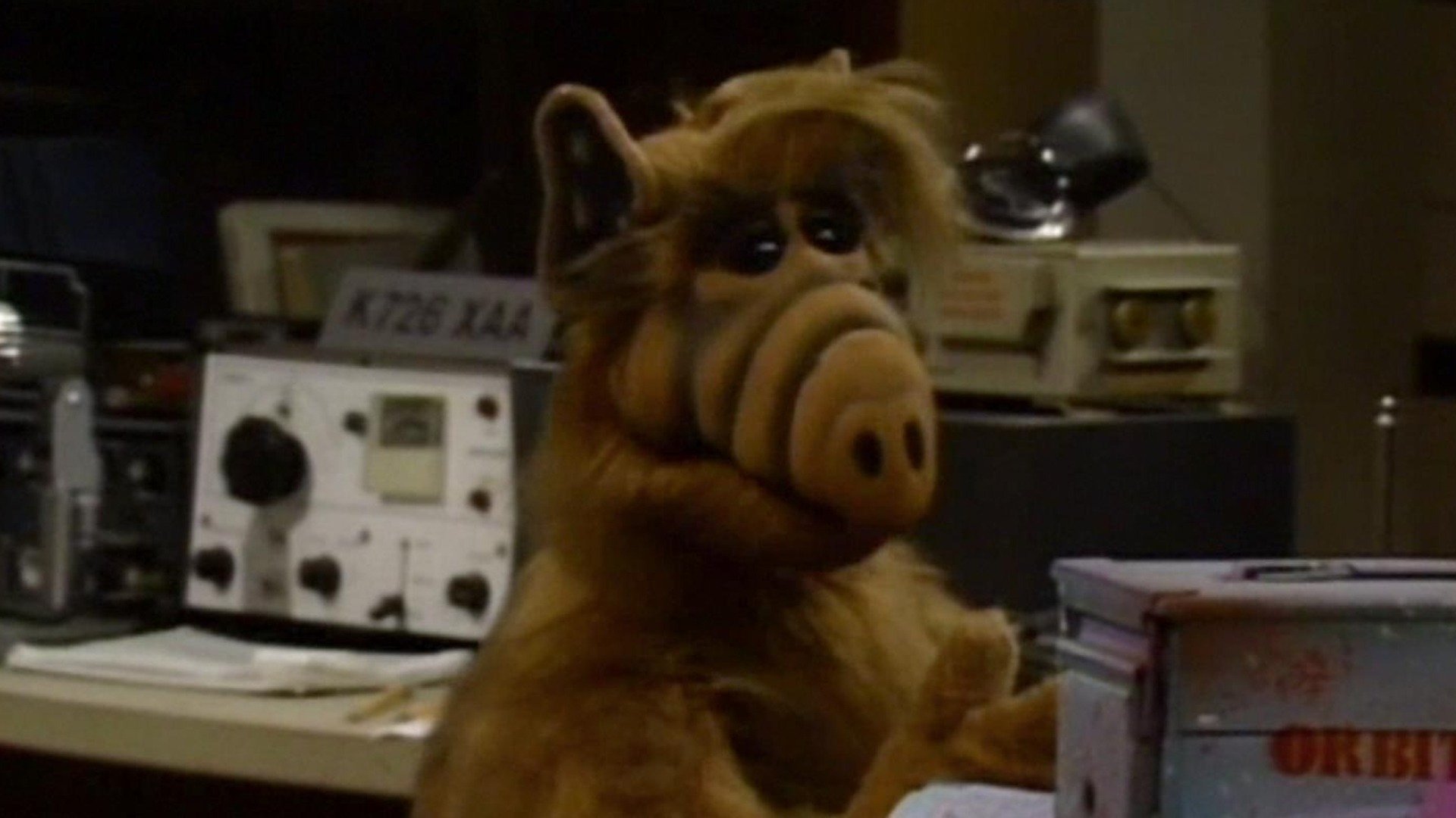 ALF