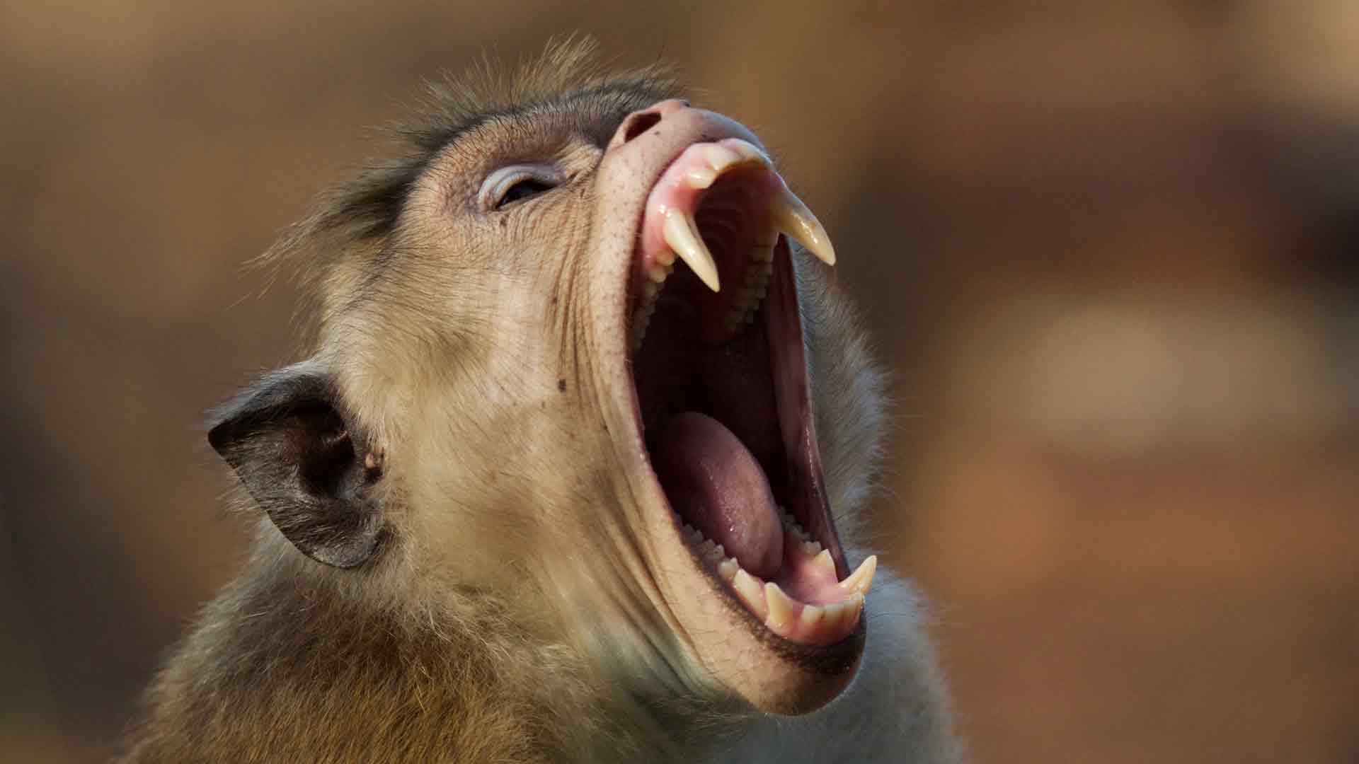 Il racconto di una mamma