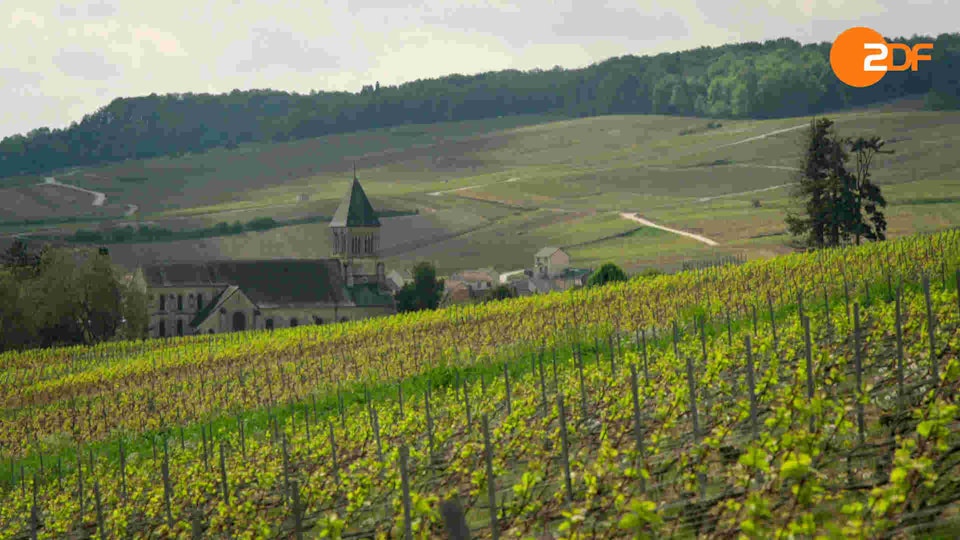 10 Winzer, Joachim Król und der Moissonnier: Von der Loire ins Elsass