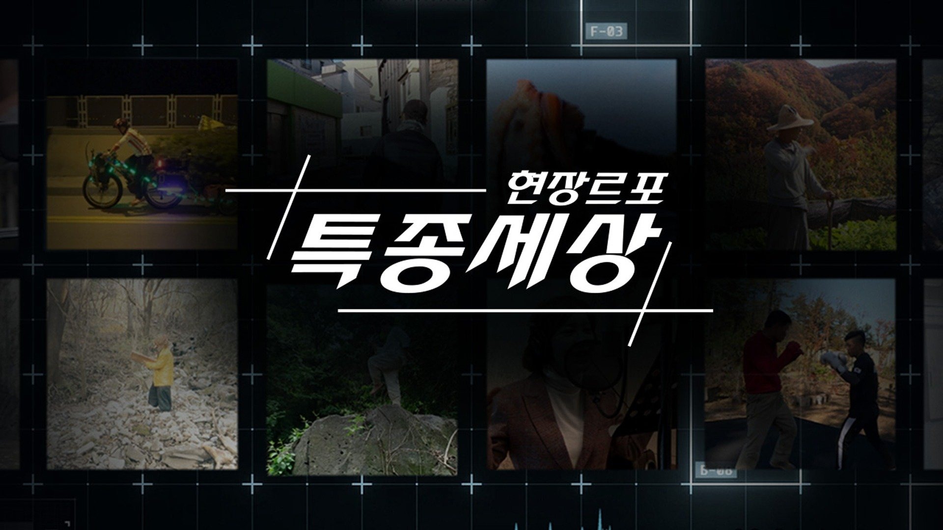 현장르포 특종세상