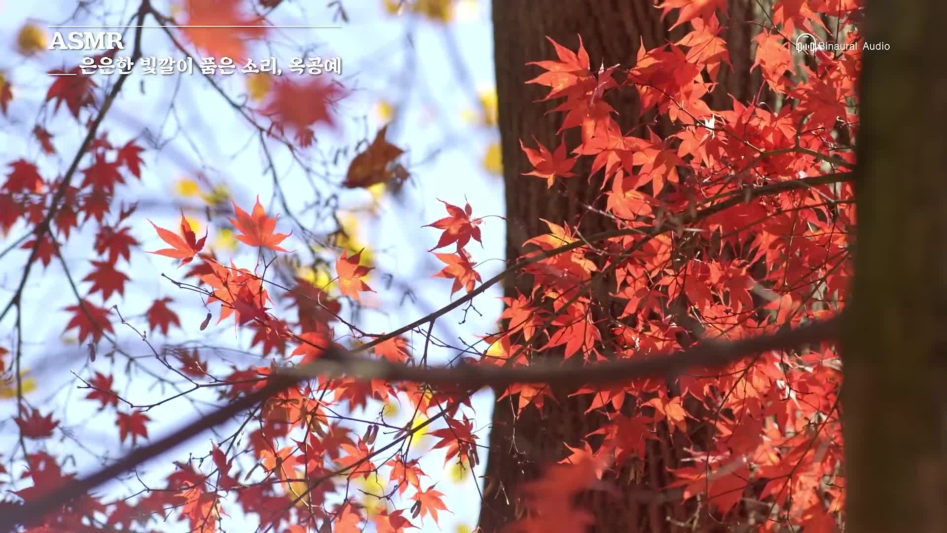은은한 빛을 조각하다. 옥장