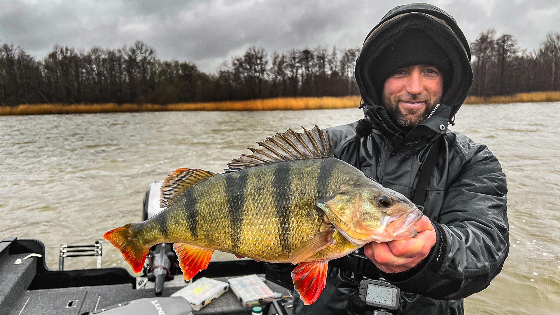 Großbarsche im Winter mit John Chowns