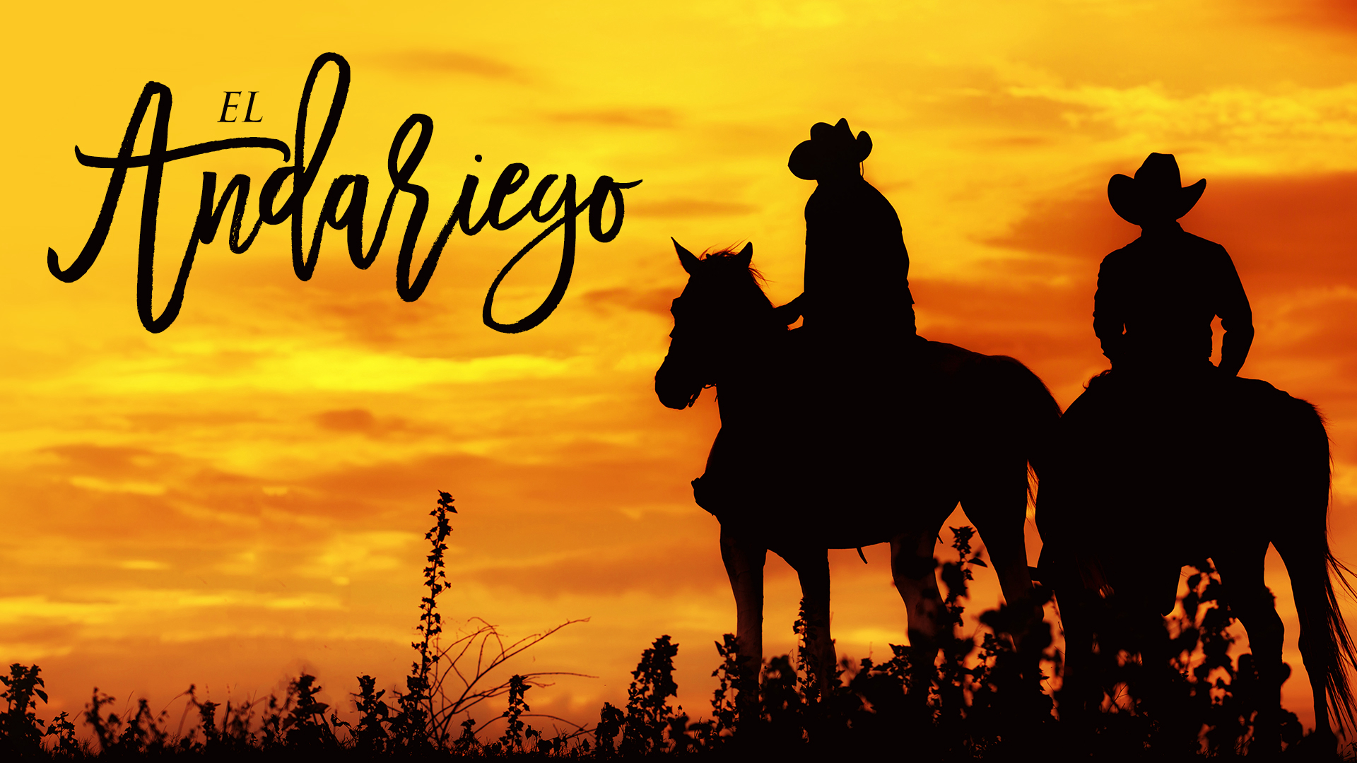 El Andariego