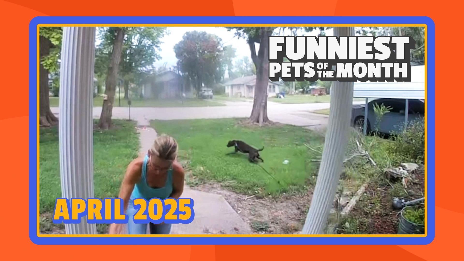 Funniest Pets of the Month | Ep. 2.5