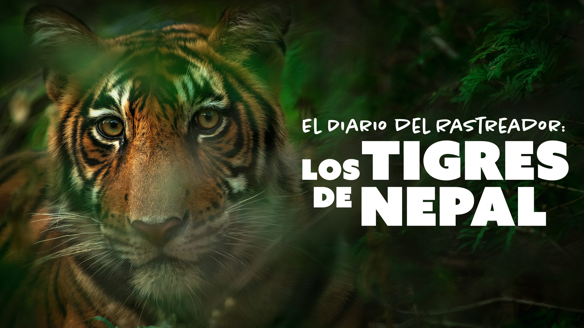 Disposición de la Tierra