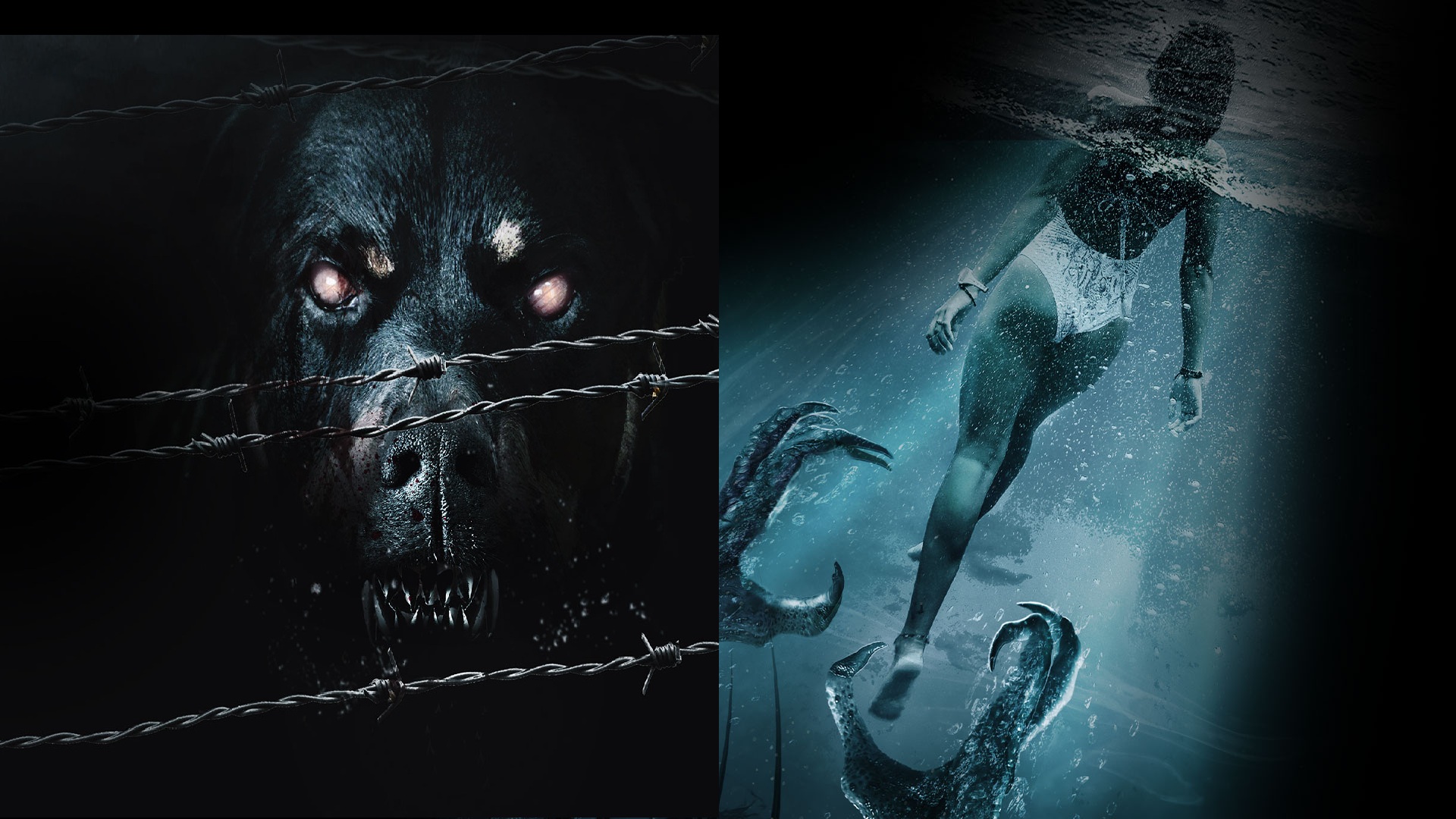 La Malédiction des profondeurs et Rottweiler