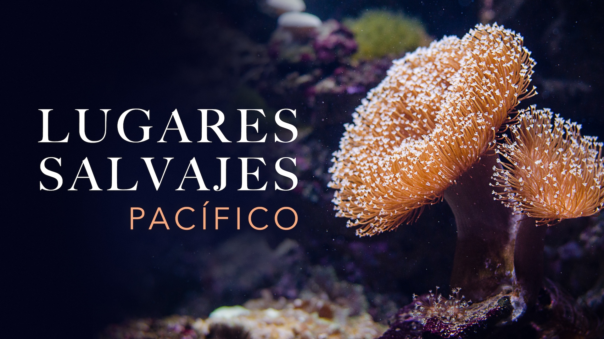 Lugares salvajes: Pacífico