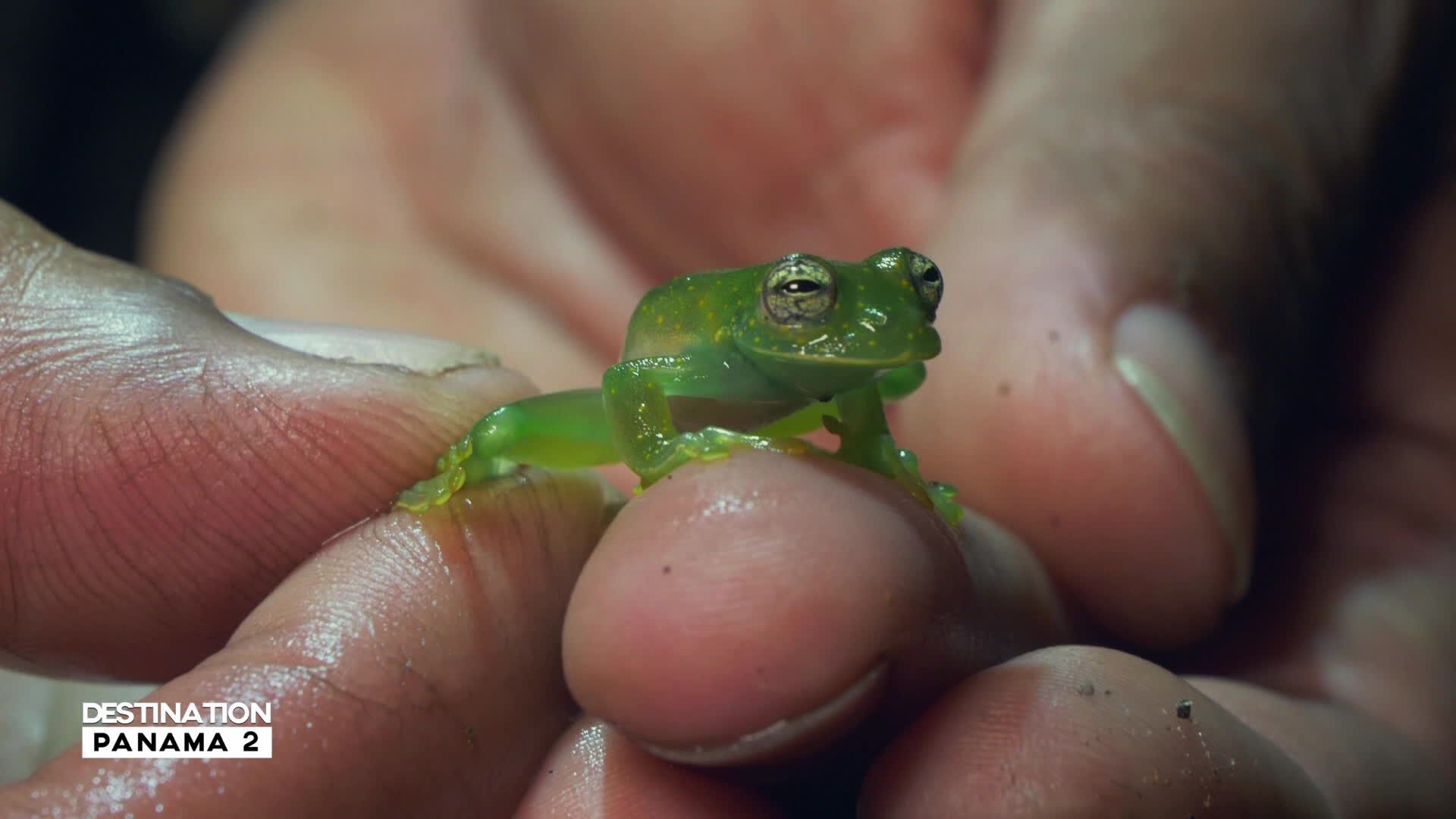 Destination francophonie