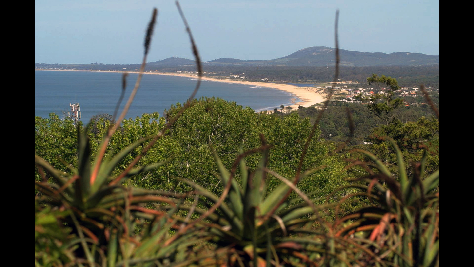 Invitation au voyage