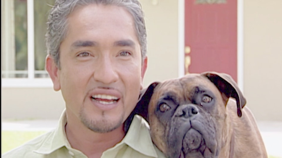 El encantador de perros