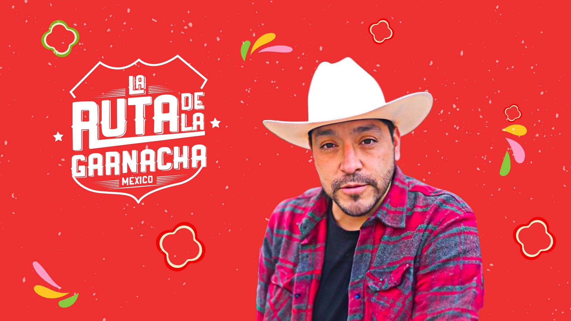 La ruta de la garnacha