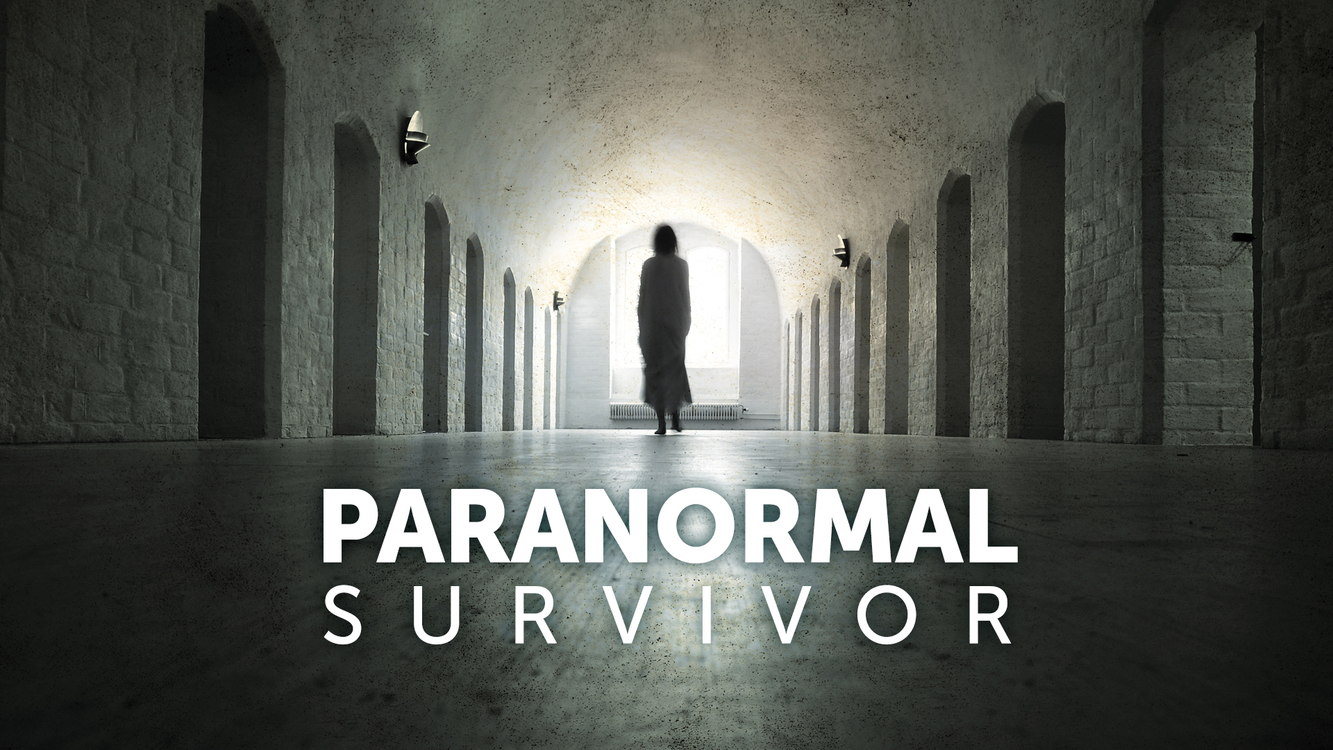 Paranormal Survivor