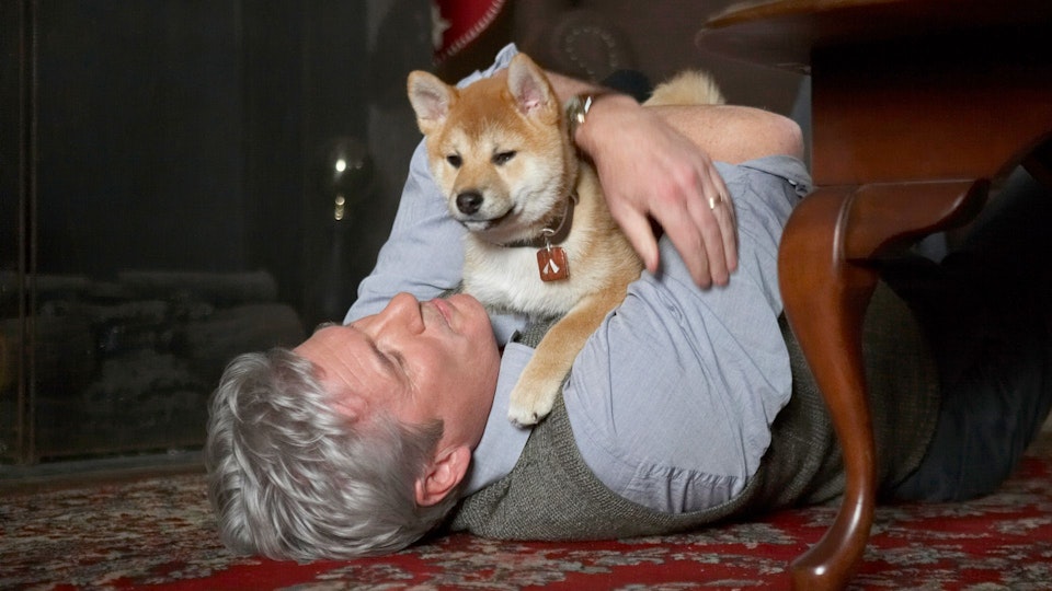 Siempre a tu lado Hachiko