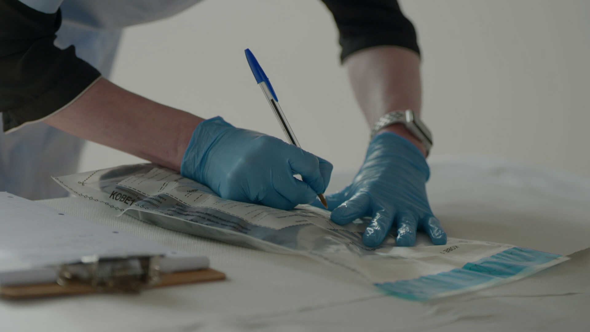 Bloodline Detectives