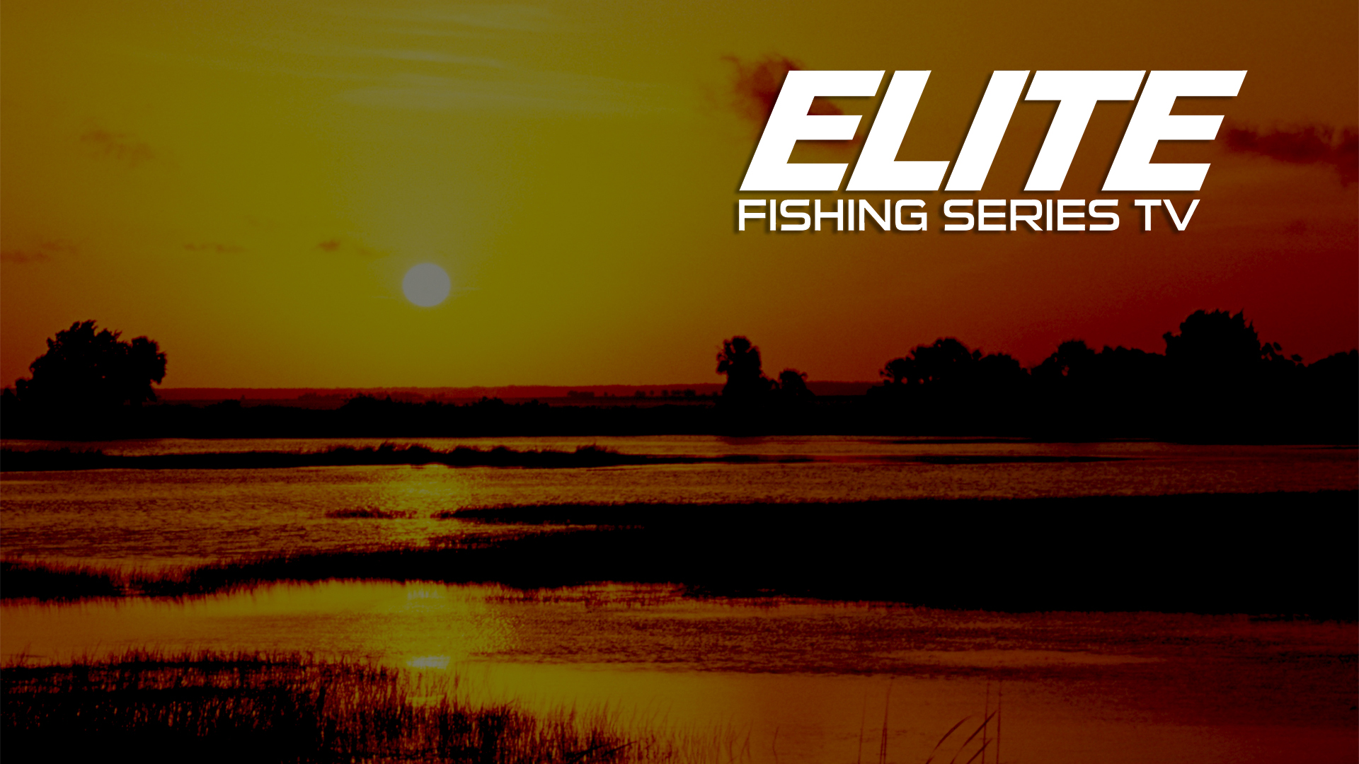 Elite Fishing Series