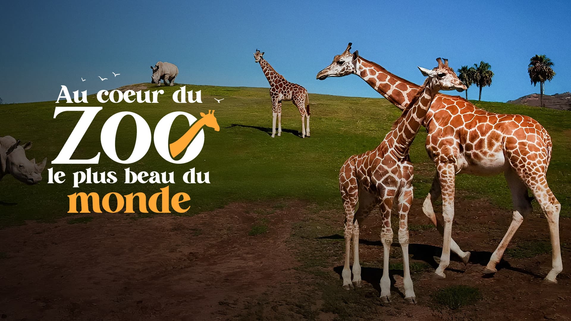 Au coeur du zoo le plus beau du monde