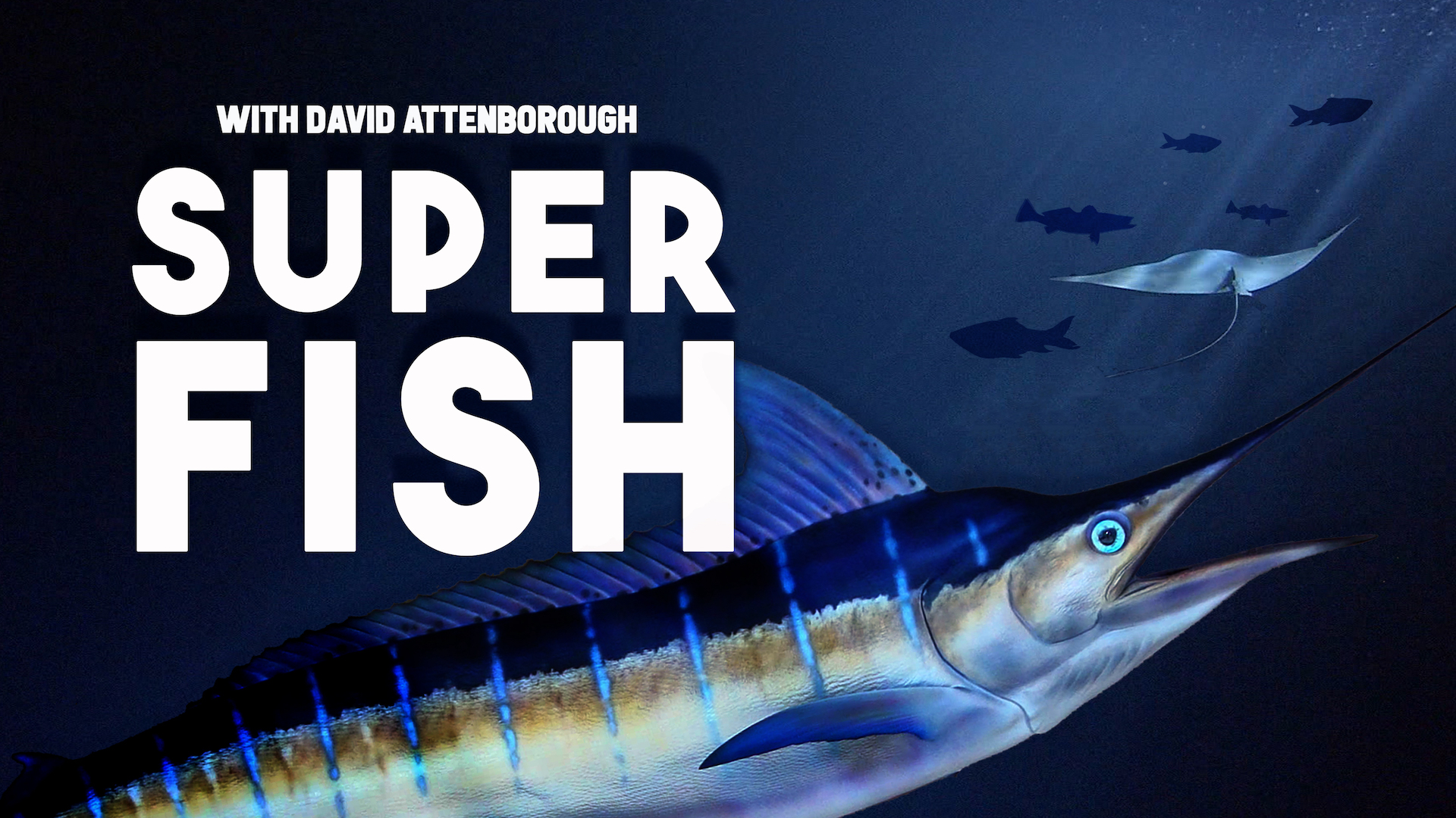 Superfish: Billfish