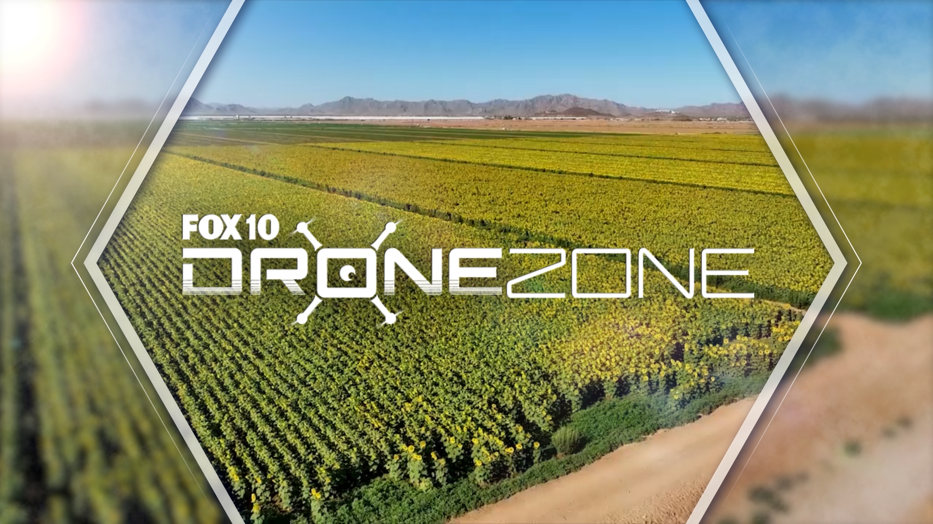 Vulture City | Drone Zone