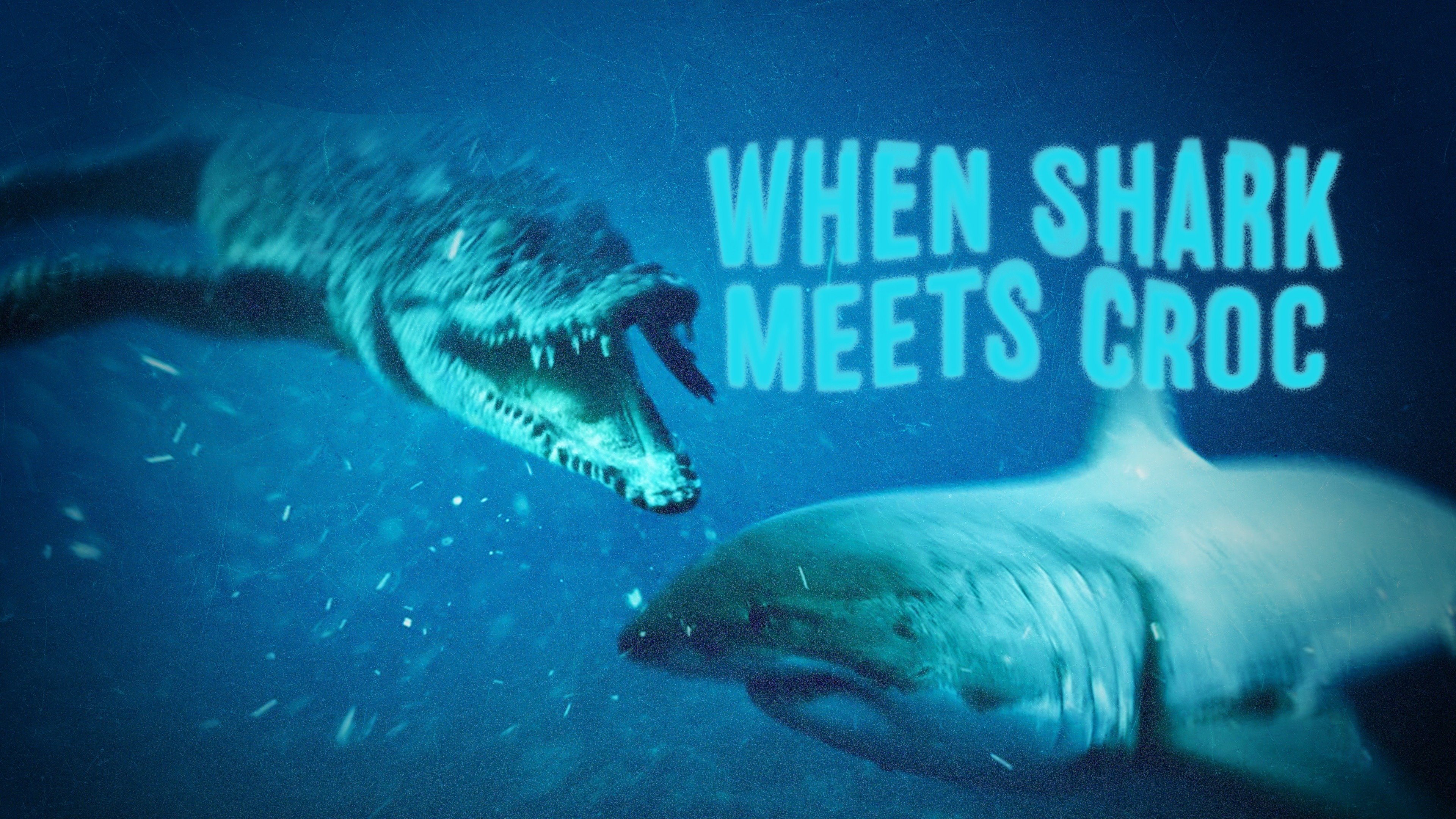 When Shark Meets Croc