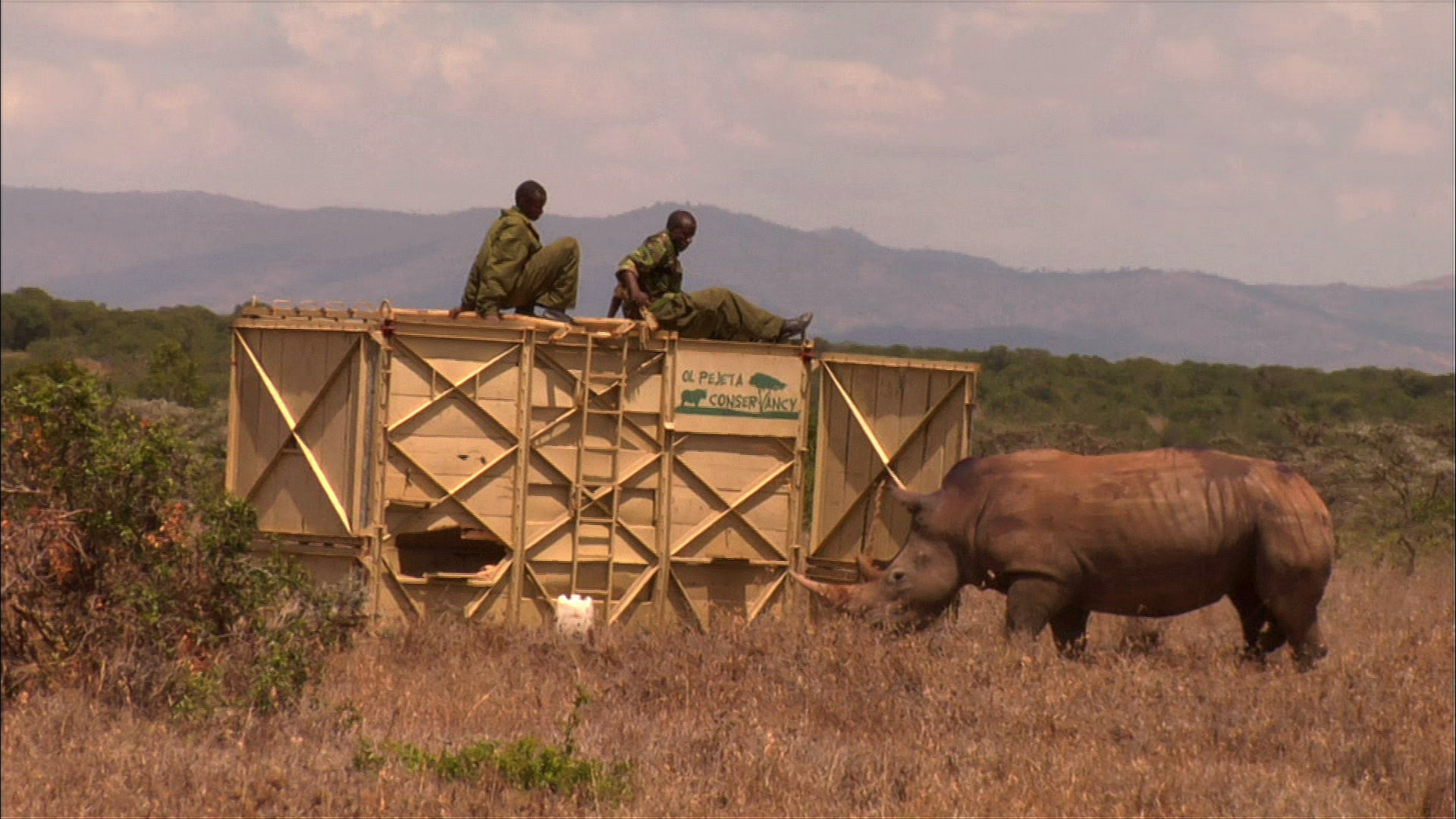 Diarios de OI Pejeta