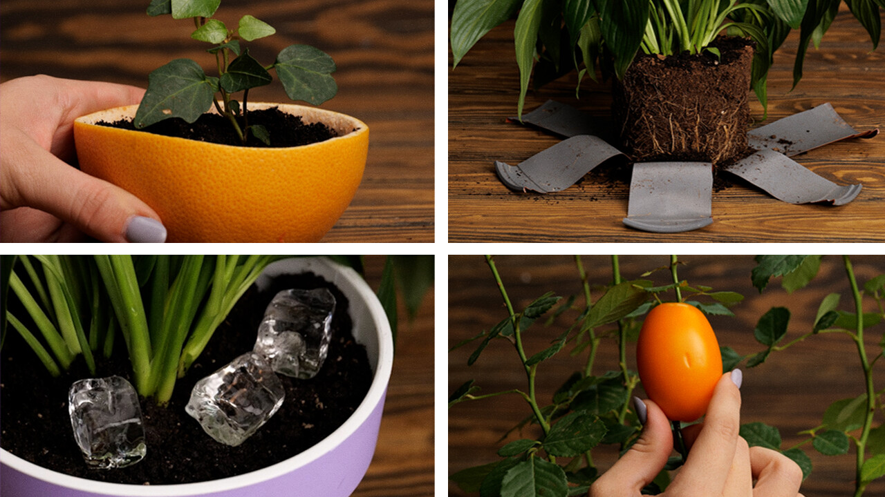 Trucos simples de jardinería que realmente funcionan