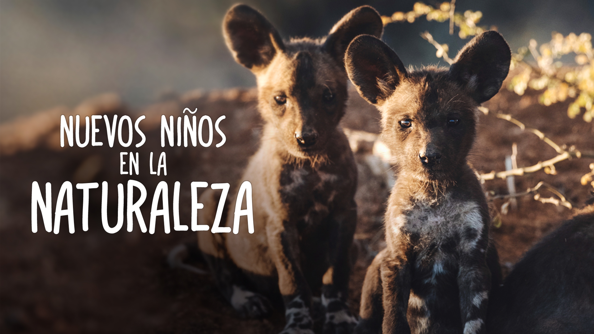 Nuevos Niños en la Naturaleza