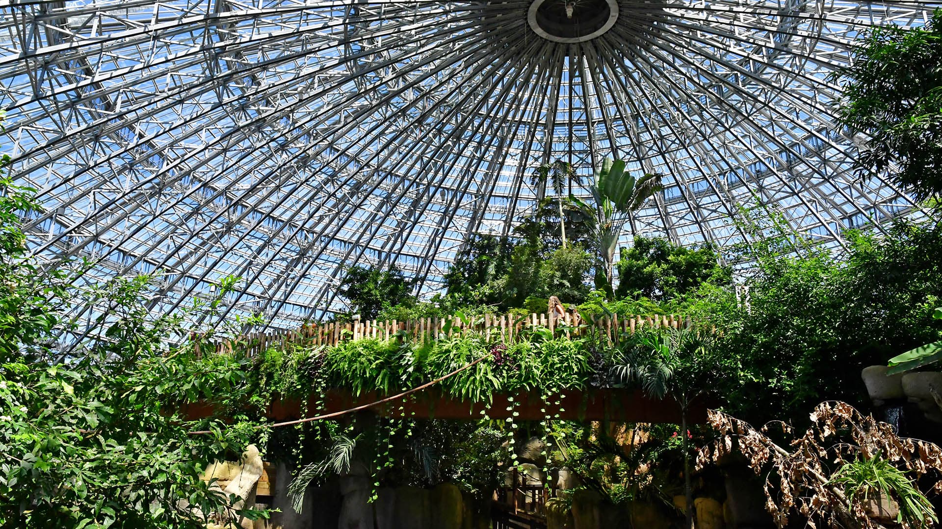 ZooParc de Beauval : au coeur de la machine