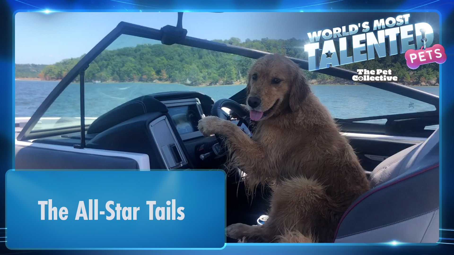 World's Most Talented Pets