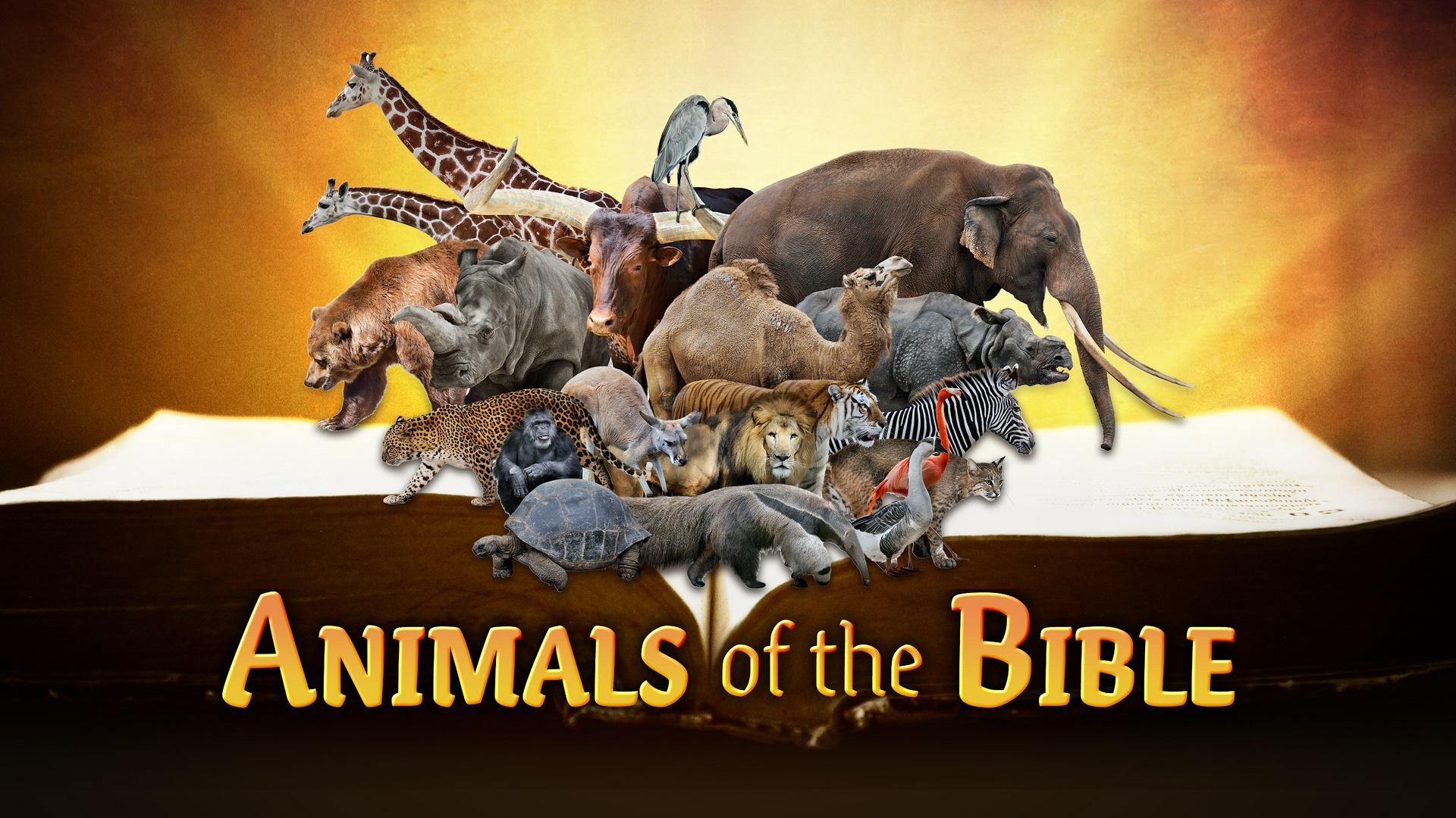 Animals Of The Bible