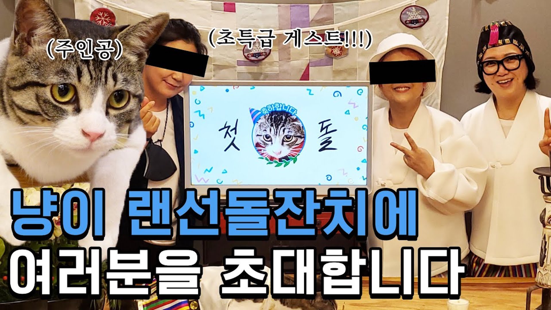 고양이 돌잔치 ep.01 🎂ㅣ바위의 이모, 할머니까지? 셀럽 가족 총출동! 🐱