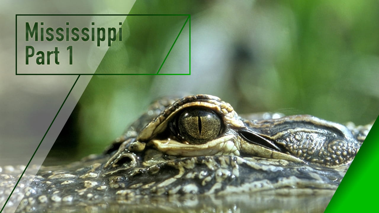 Mississippi