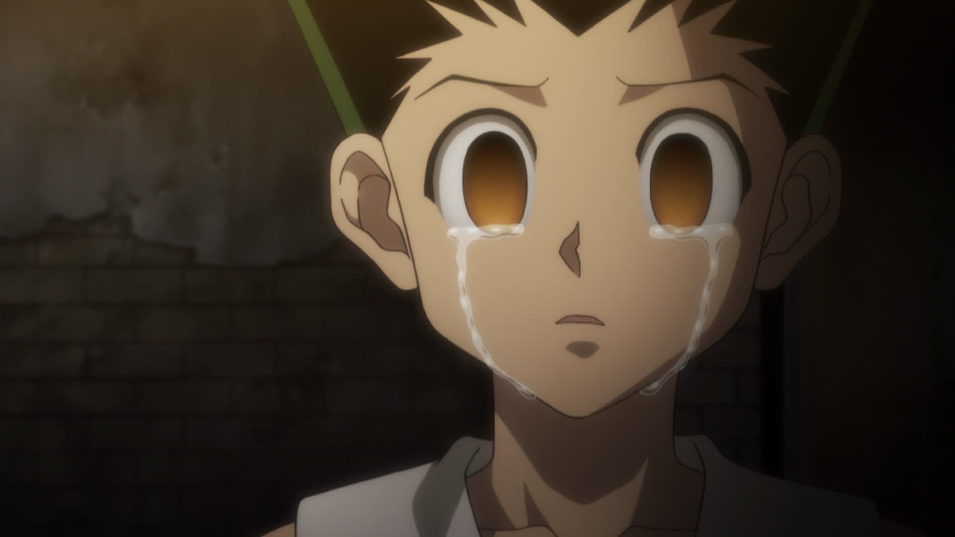 Hunter x Hunter 2011