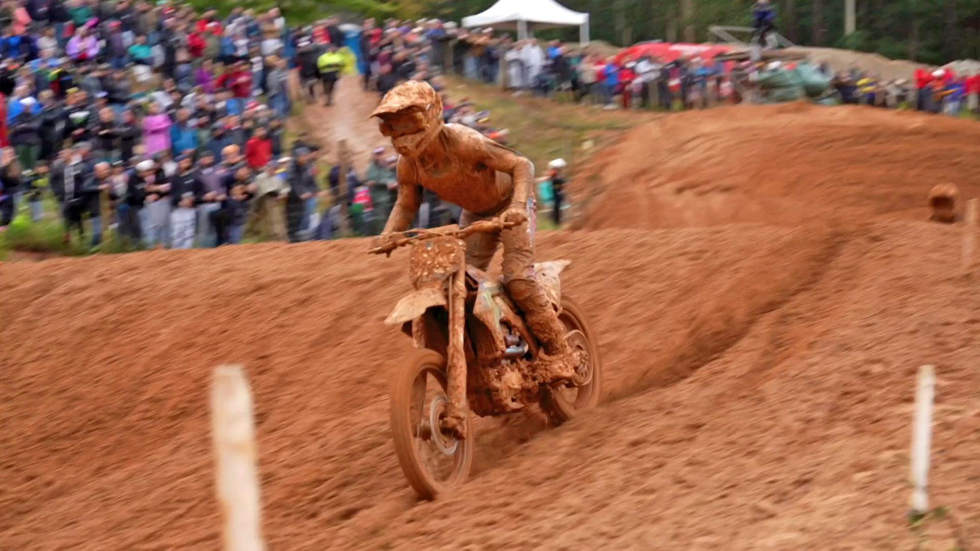 FIM World Motocross Championship