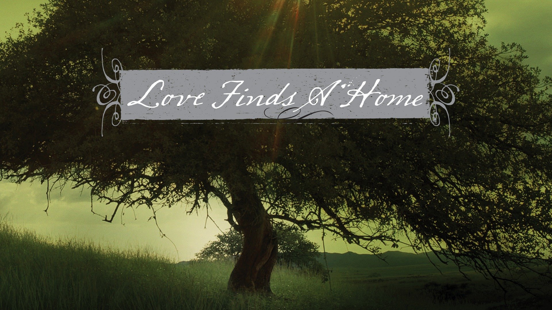 Love Finds a Home