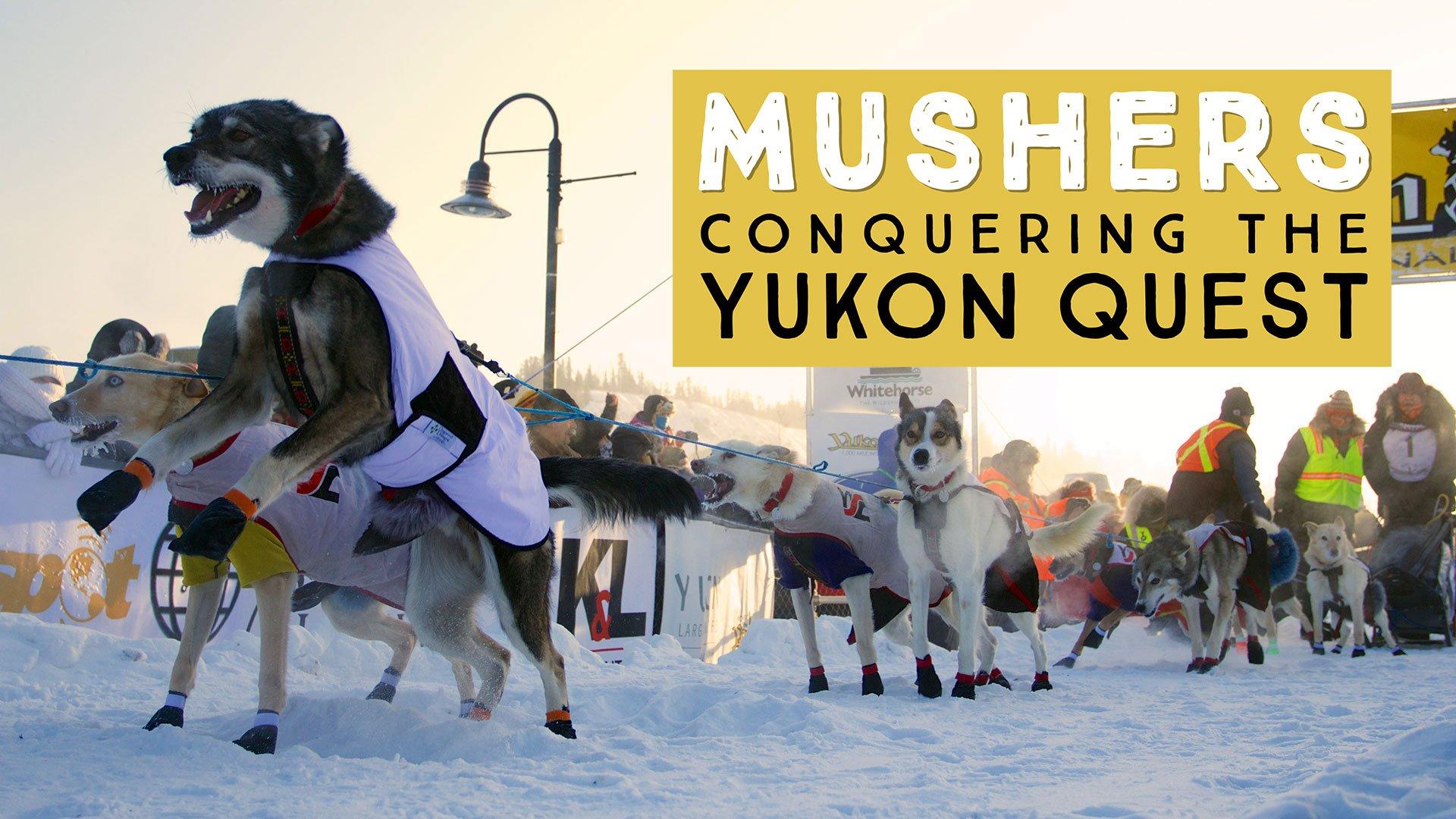 Mushers