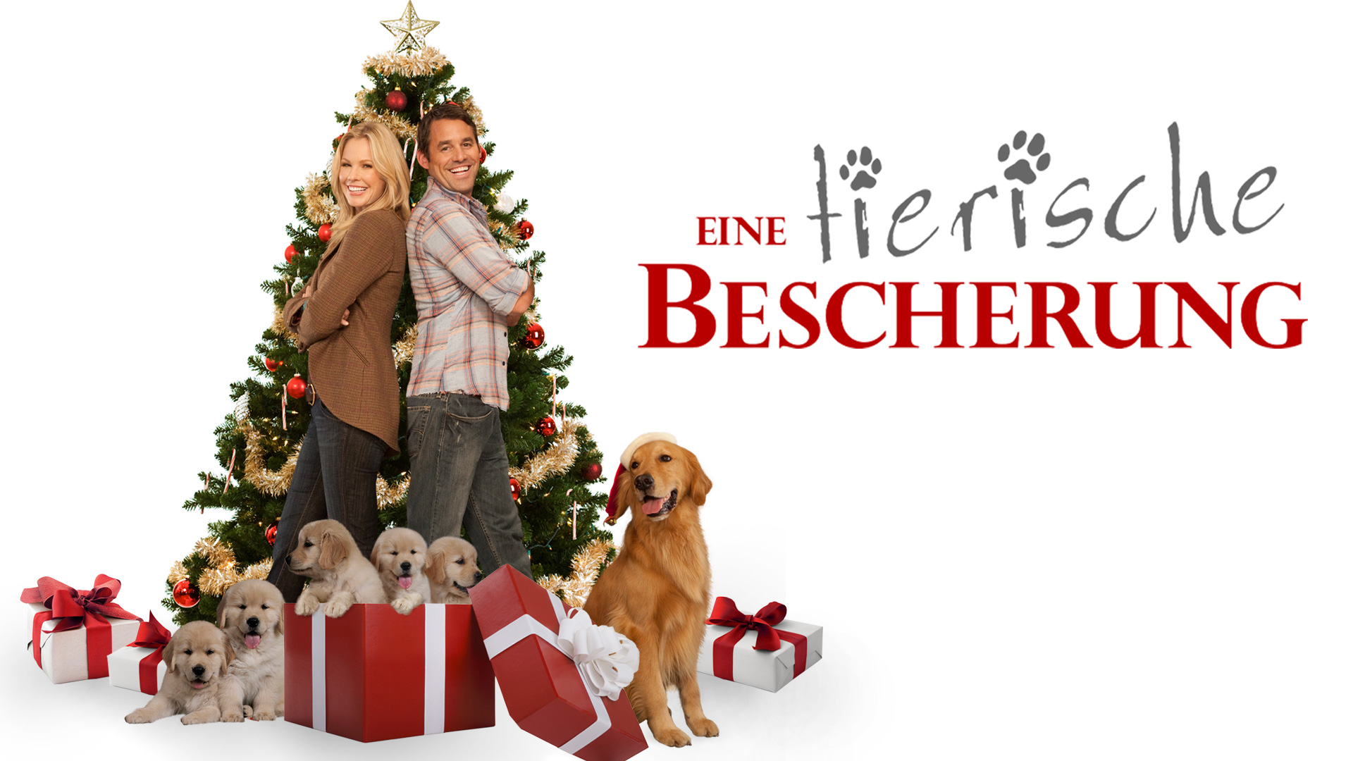 Eine tierische Bescherung