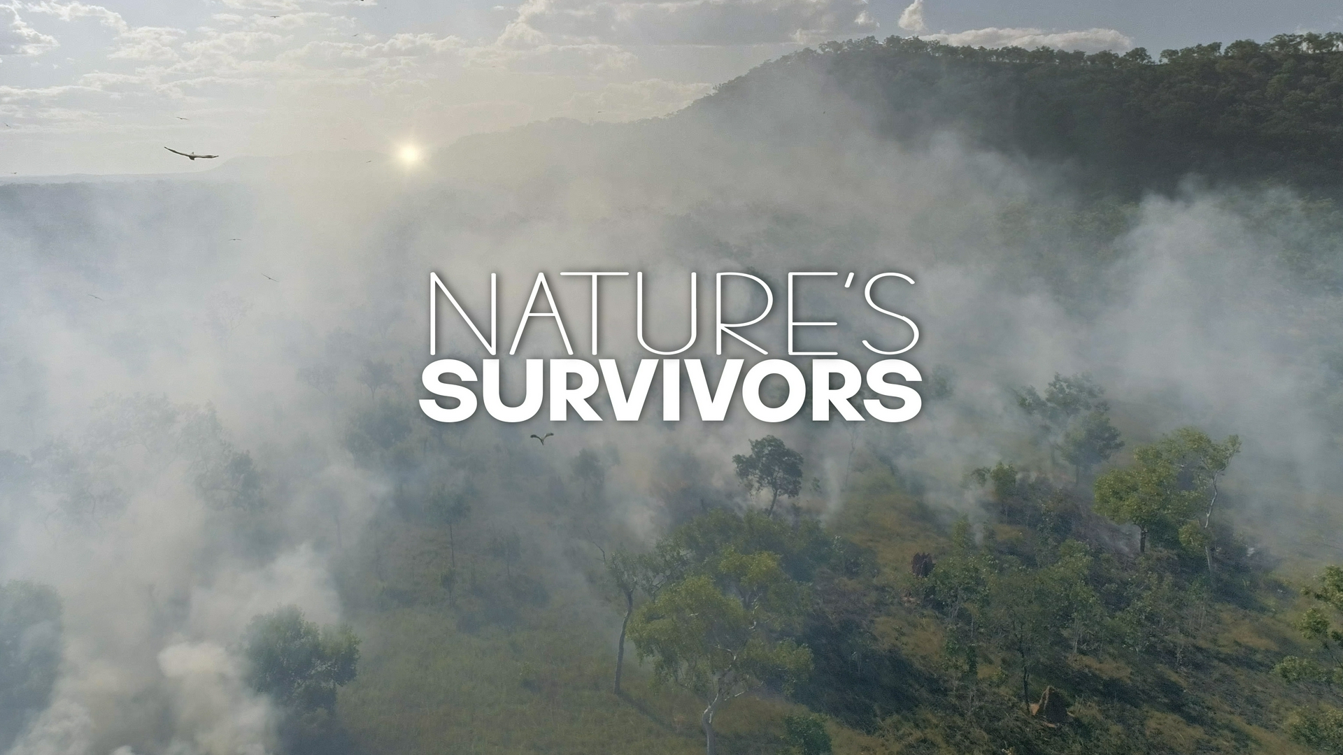 Nature's Survivors