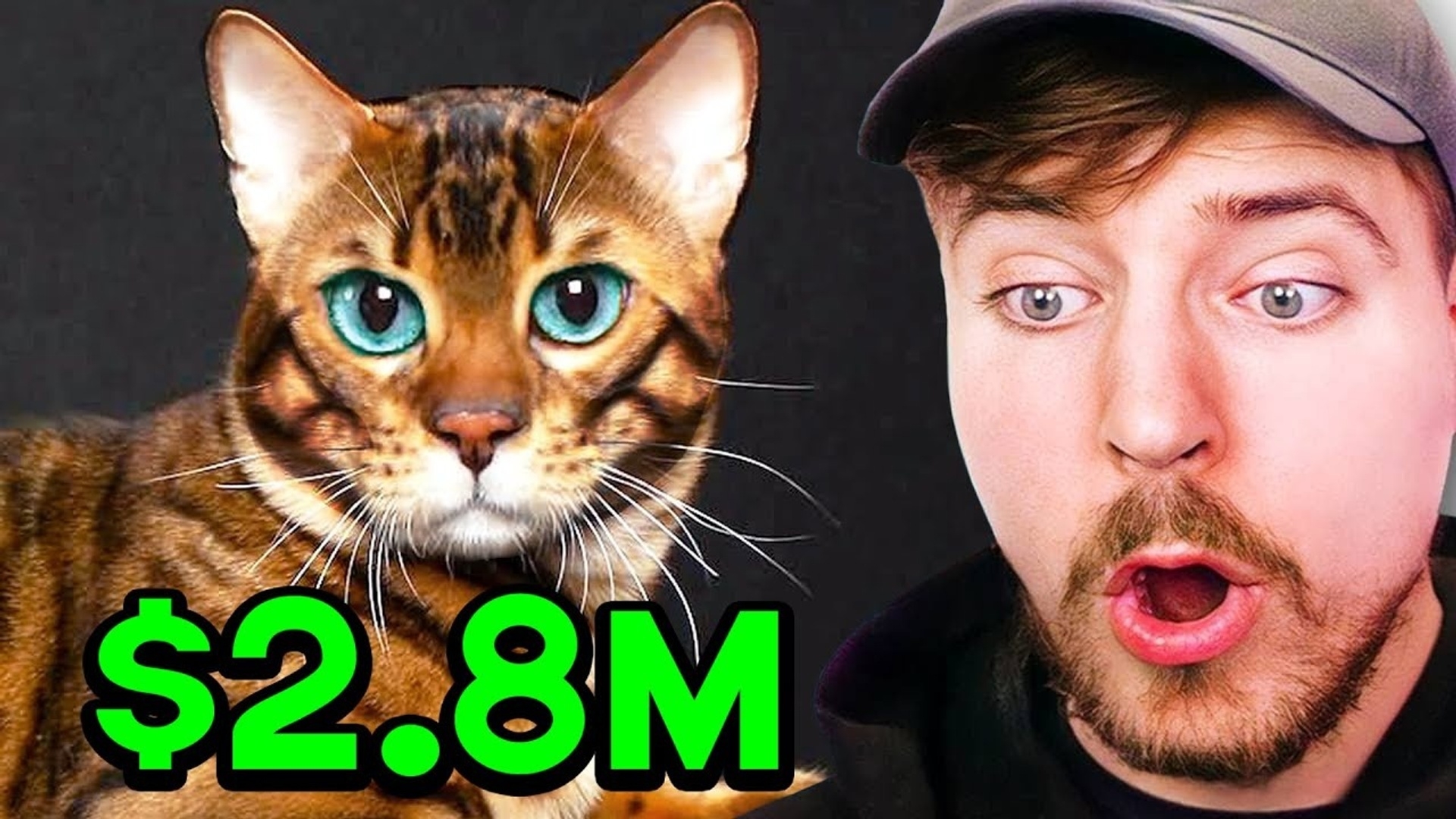 Rarest & Wildest Animals