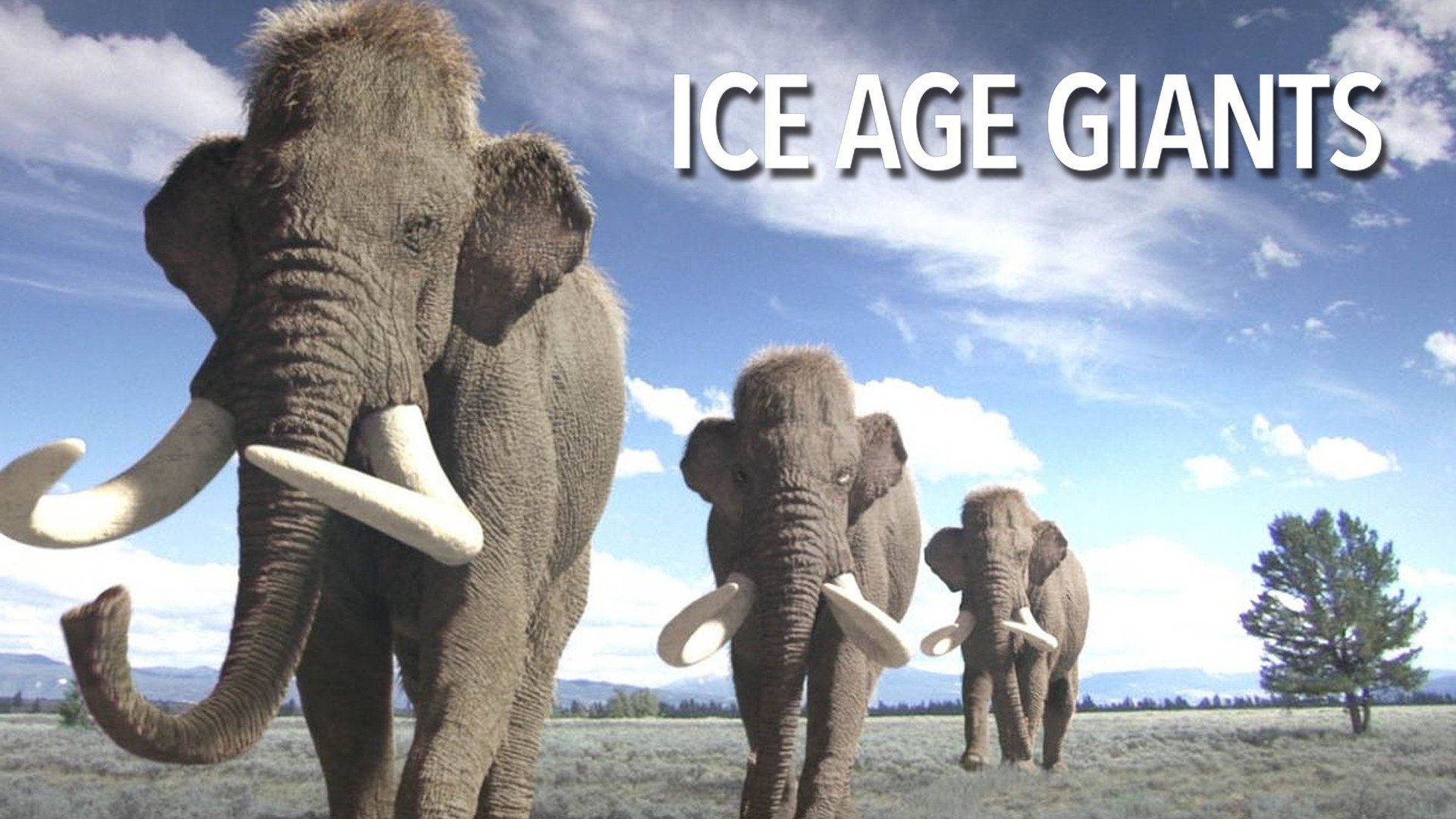 Ice Age Giants
